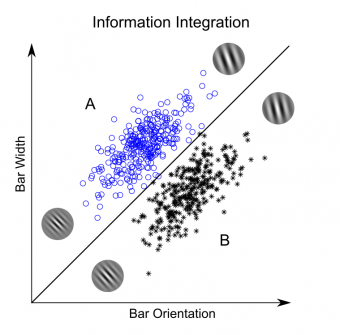 Information-integration category-learning task