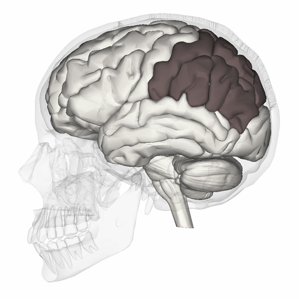 Miller Lab Research Summary